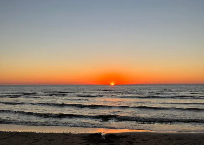 Πανσιόν Tiny Garden 3*