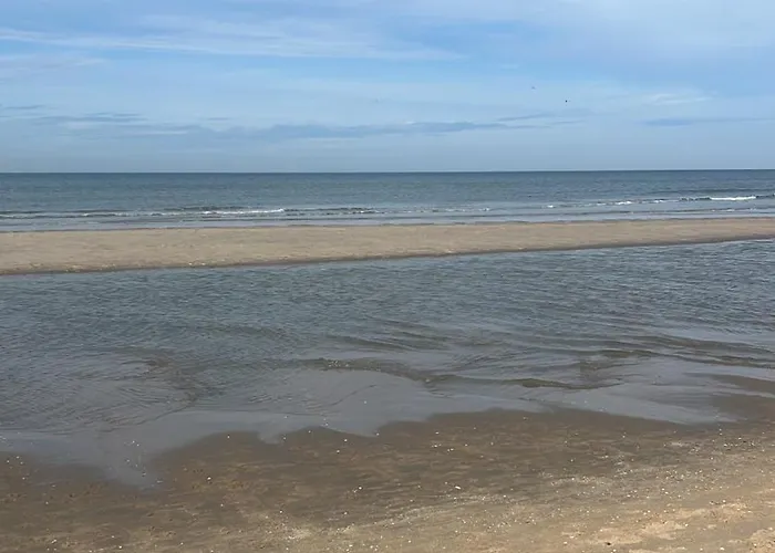 Casa de hóspedes Tiny Garden