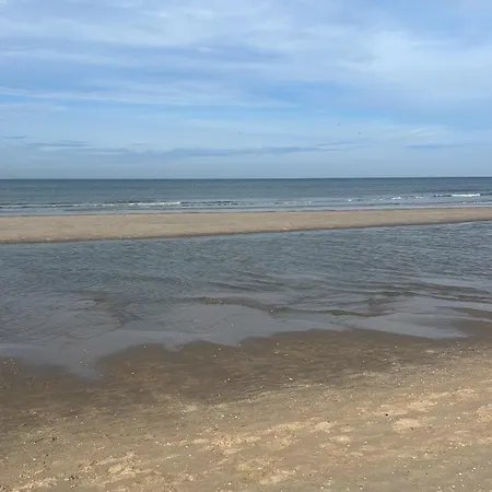 Vendégház Tiny Garden